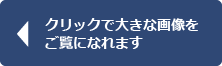 クリックで大きな画像をご覧になれます